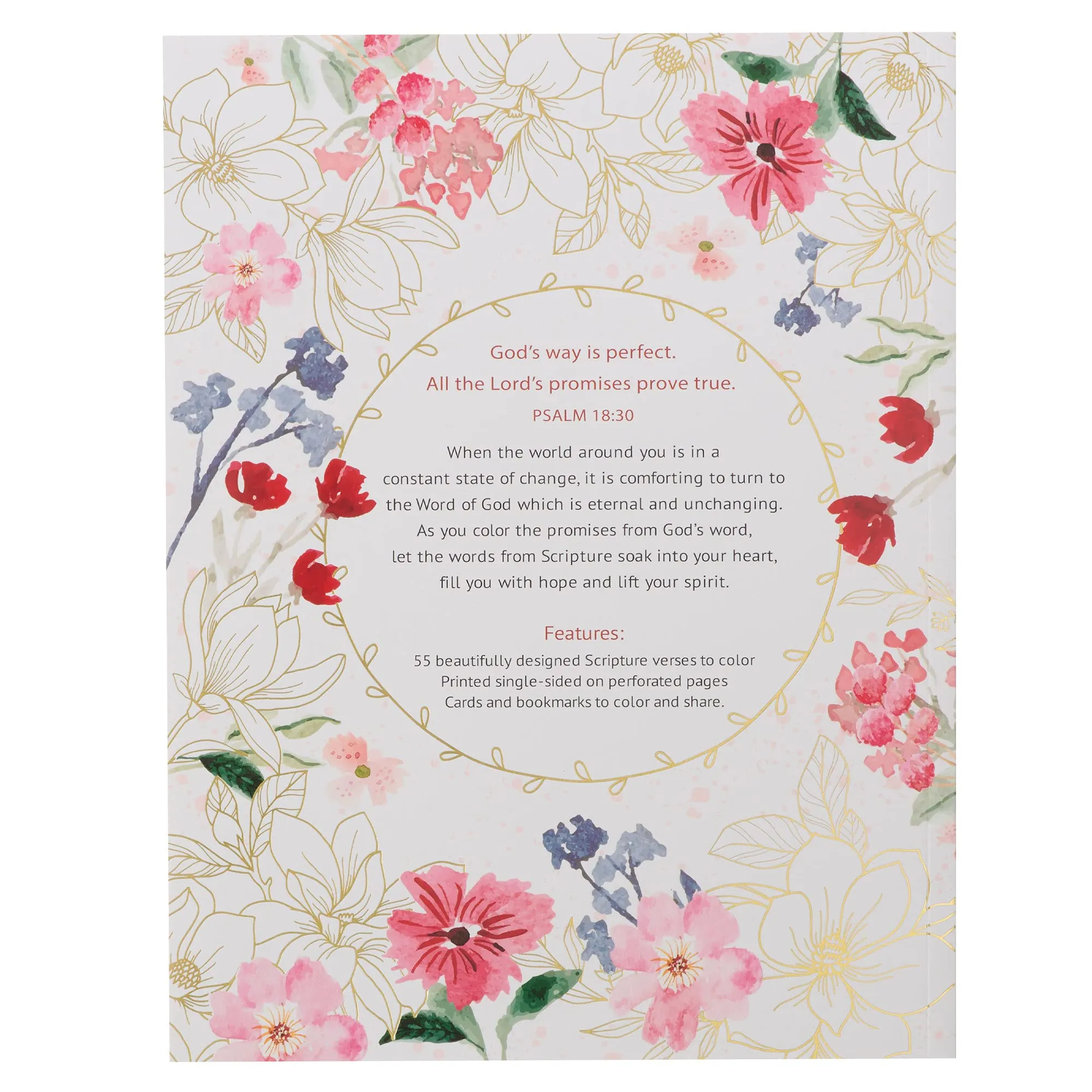 COLOR THE PROMISES OF GOD COLORING BOOK