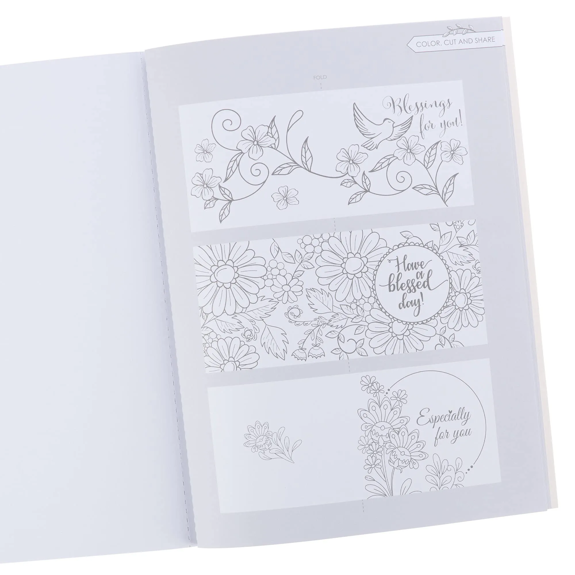 COLOR THE PROMISES OF GOD COLORING BOOK