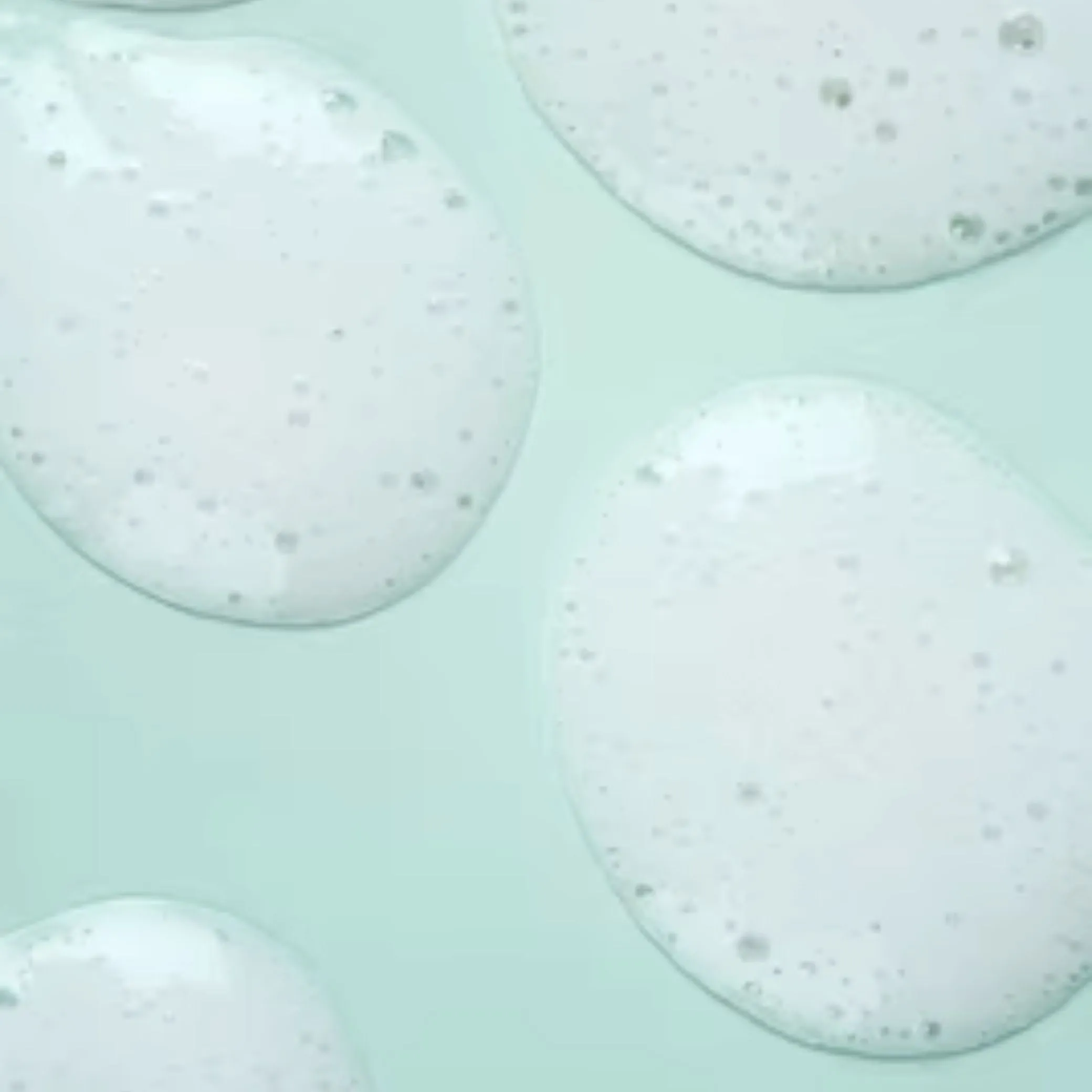 Limpiador Purificante Sebum Control ACNE
