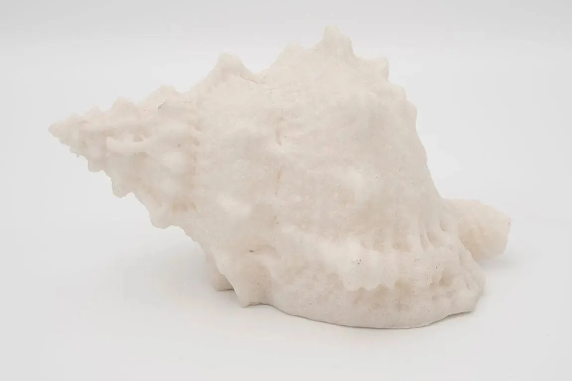 Lámpara forma de caracola de mar - D1291