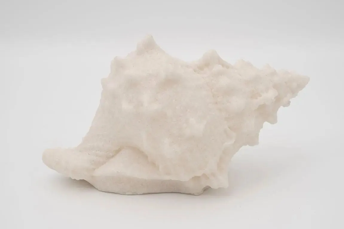 Lámpara forma de caracola de mar - D1291