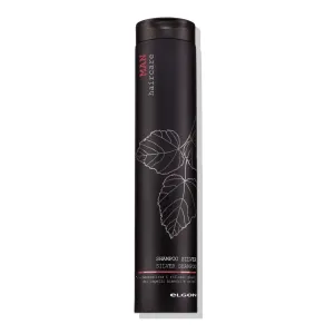 Shampoo Hombre Silver 250ml Elgon