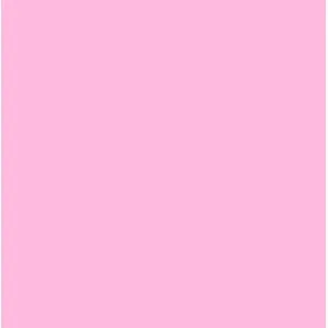 Top Feminino Roupas Femininas Top Faixa (BARBIE)